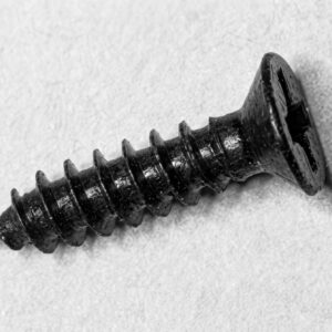 A single black replacement self-tapping case screw for the Sinclair ZX Spectrum.